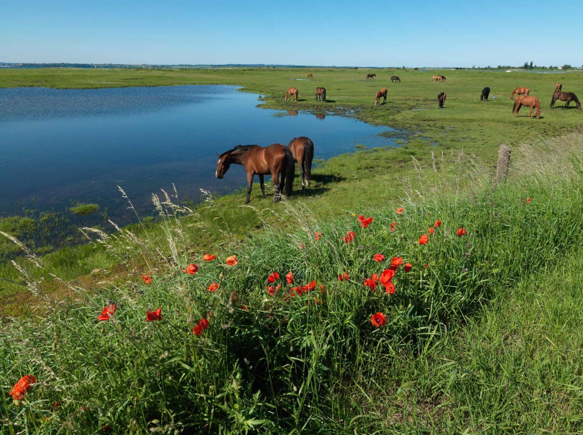 Ferienanlage Poschmann Strohboden Poel Exterior foto